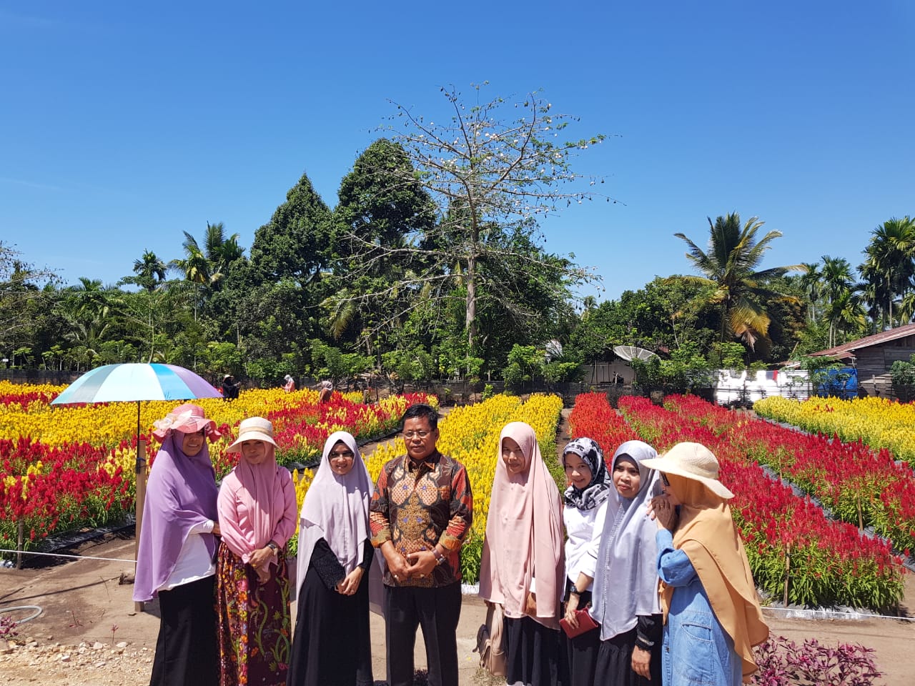 Aminullah: Taman Bunga Celosia Destinasi Wisata Favorit Baru Di Aceh